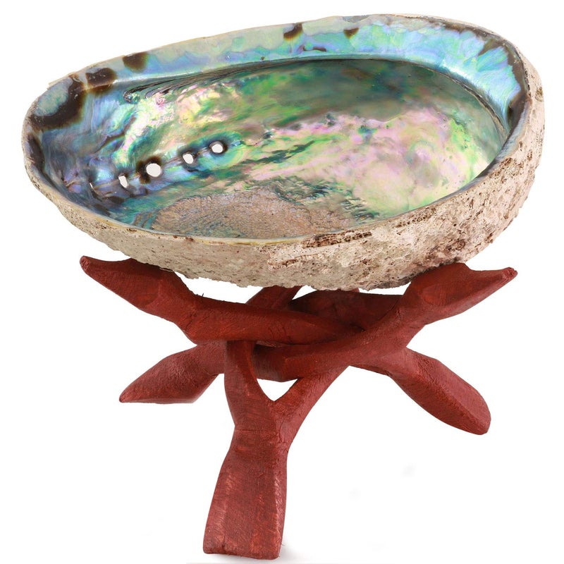 Ocean Shell Studios. Natural Abalone (PÄua) Shell, with Stand,6-6.5 Inches,Supreme for Smudging,Cleansing Home,Meditation,Shell Crafts,Incense Holder,100% Natural, Sustainably Sourced by Ocean Shell Studios NZ - Image 1
